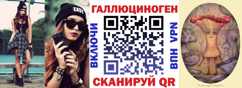 закладка  Рассказово  Псилоцибиновые грибы Psilocybe 